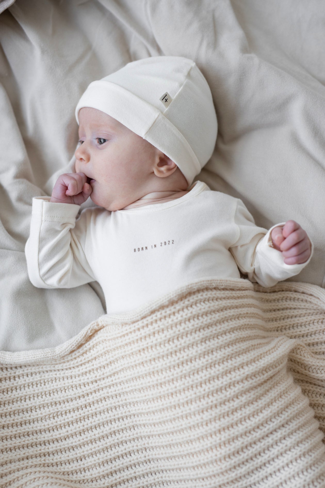 1+ In The Family | Newborn Hat - Nuc | Organic Cotton Baby Hat – Otis and  the Wolf